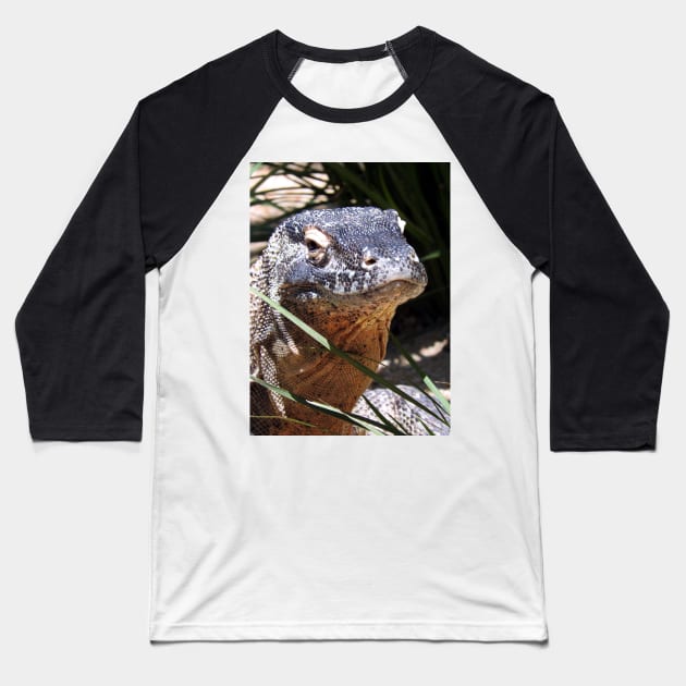 Komodo Dragon Baseball T-Shirt by kirstybush